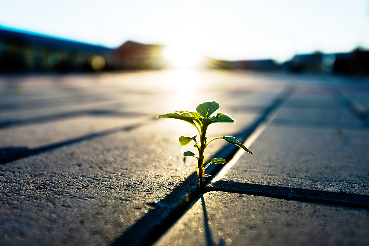 iStock-1128894742sm